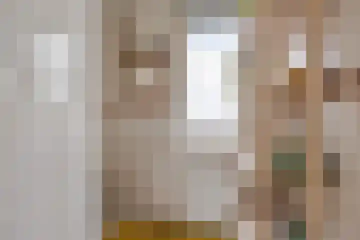 Orion 3 Aalten thumbnail 22