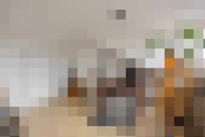 Orion 3 Aalten thumbnail 28