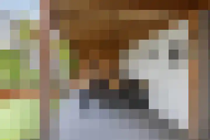 Orion 3 Aalten thumbnail 30