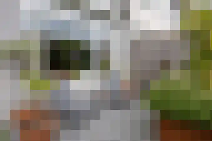Orion 3 Aalten thumbnail 36