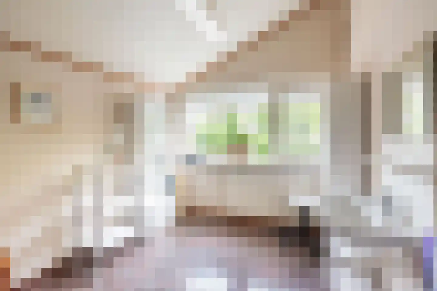 Orion 37 Ulft thumbnail 28
