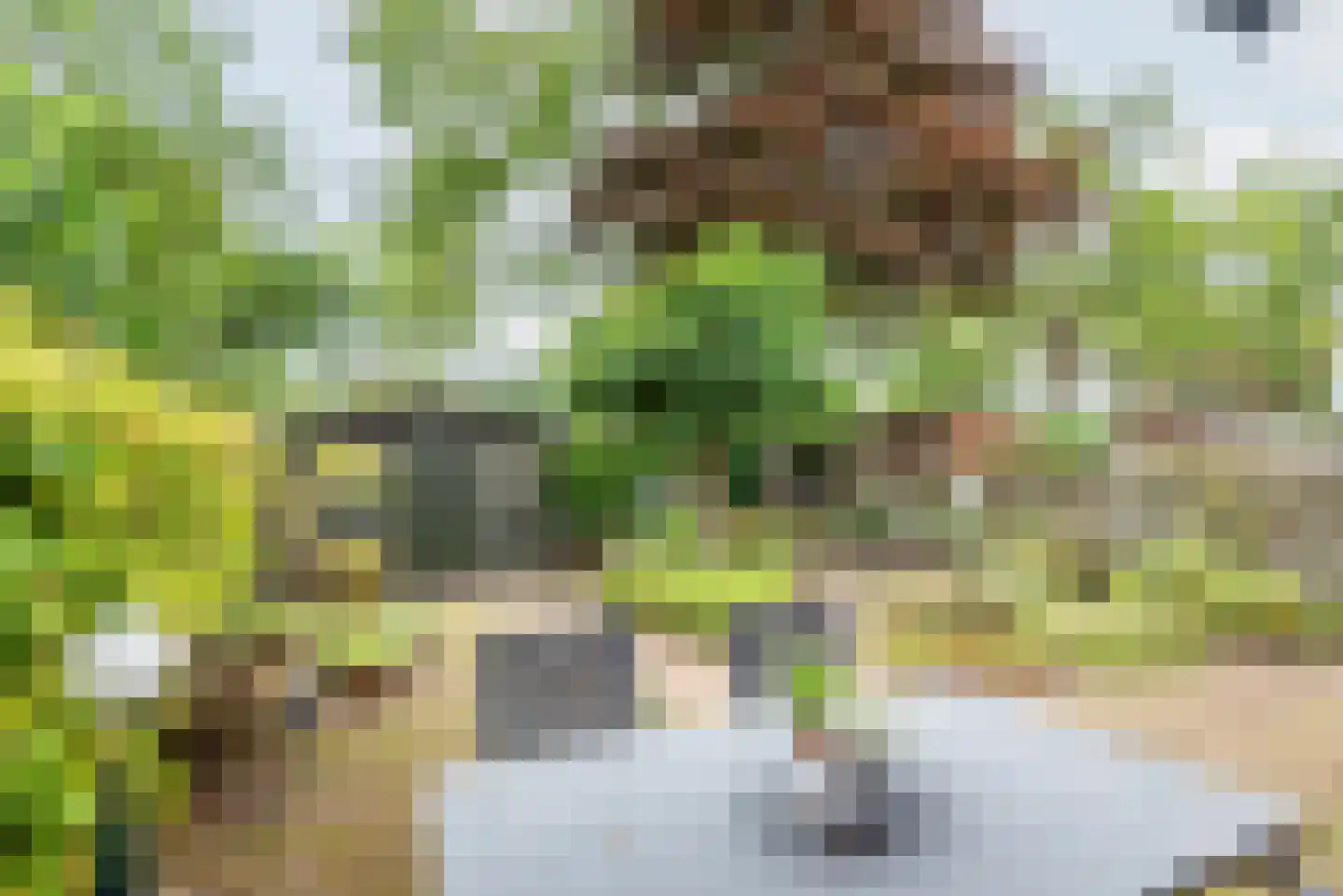 Orion 37 Ulft thumbnail 36