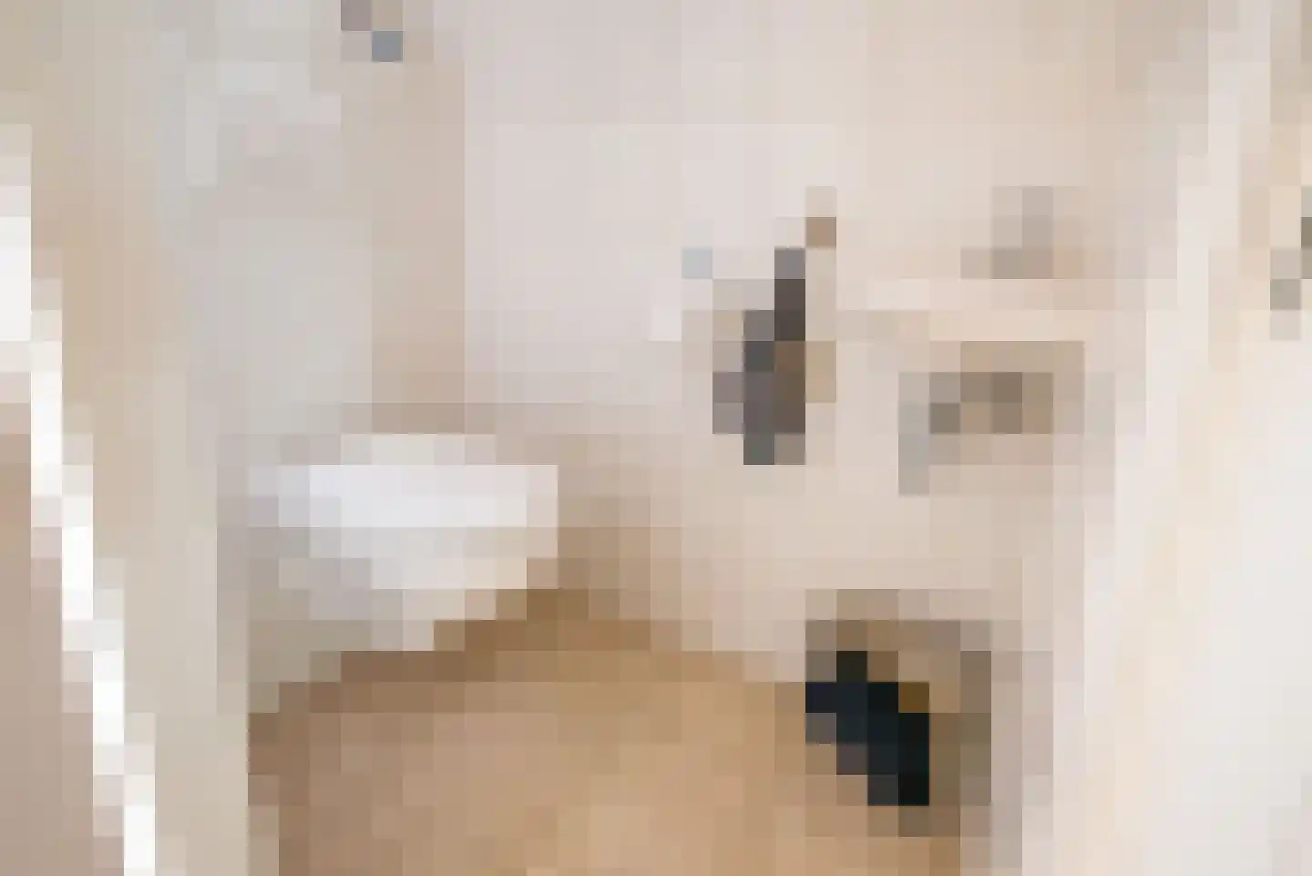 Orion 37 Ulft thumbnail 9