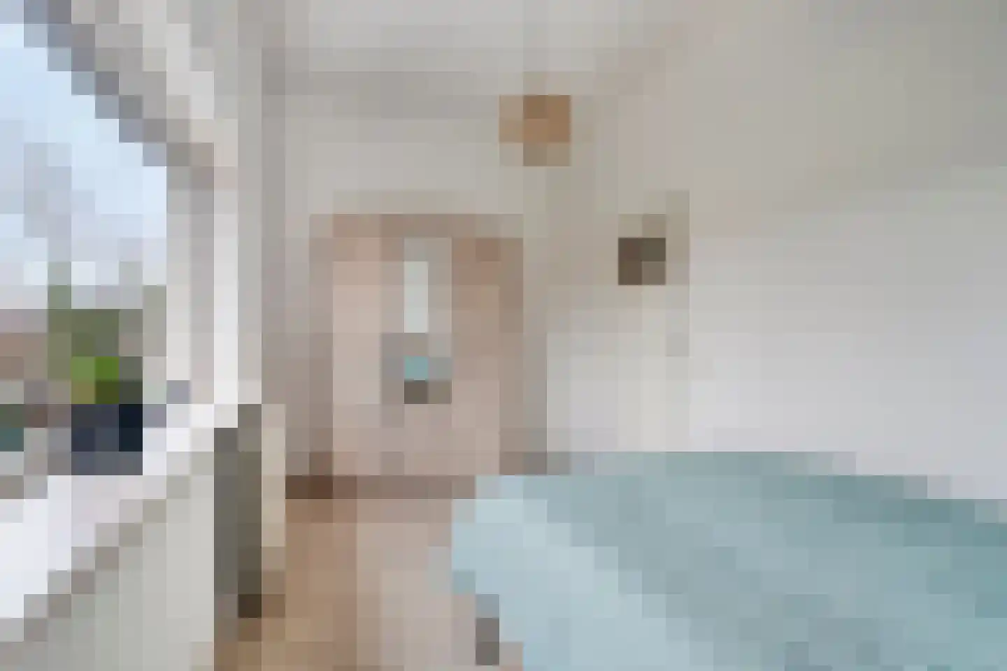 Orion 38 Ulft thumbnail 23