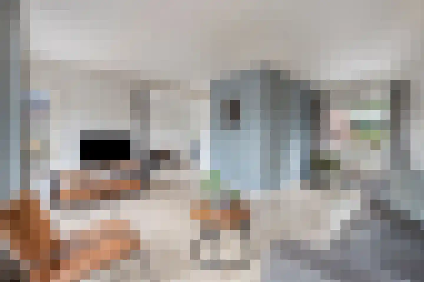 Orion 38 Ulft thumbnail 8