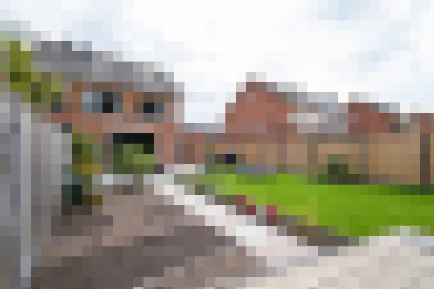 Orion 41 Hellevoetsluis thumbnail 45