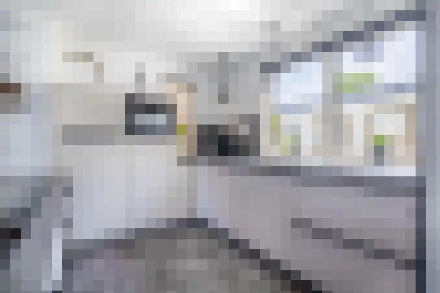 Orion 51 Den Helder thumbnail 11