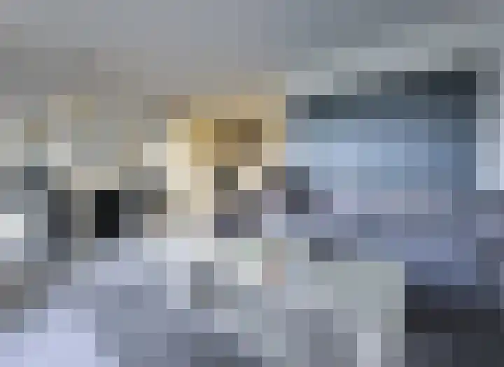 Orion 55 Amstelveen thumbnail 4
