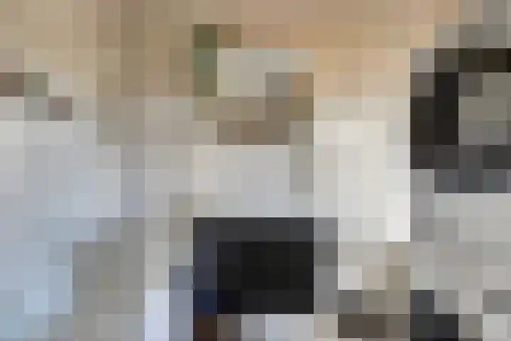 Orion 6 Katwijk thumbnail 29