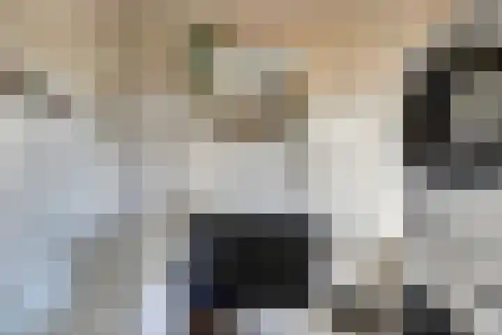 Orion 6 Katwijk thumbnail 5