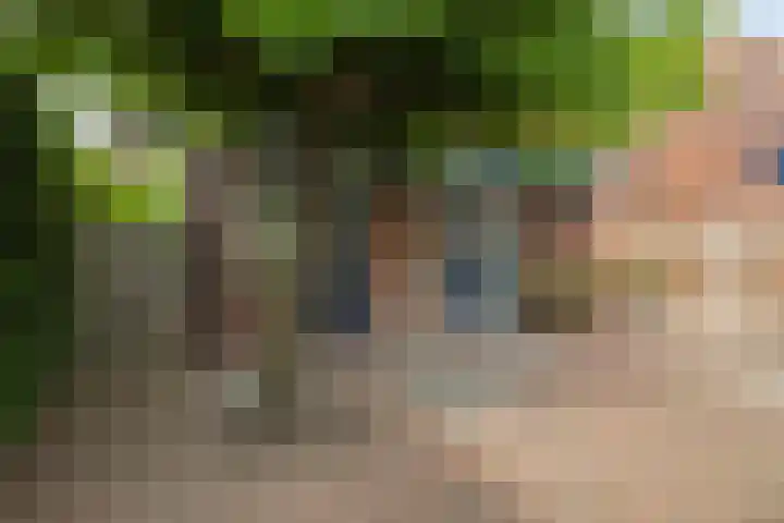 Orion 7 Ulft thumbnail 10