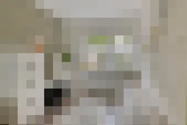 Orion 7 Ulft thumbnail 18