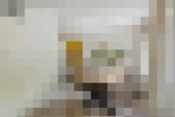 Orion 7 Ulft thumbnail 19