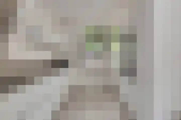 Orion 7 Ulft thumbnail 21