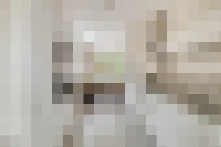 Orion 7 Ulft thumbnail 23