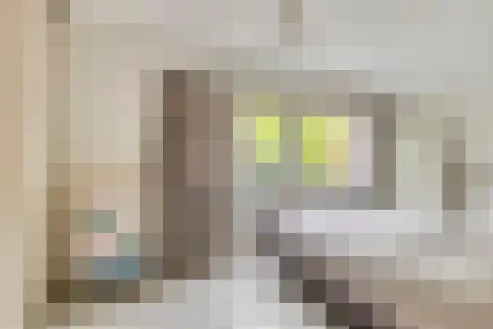Orion 7 Ulft thumbnail 26