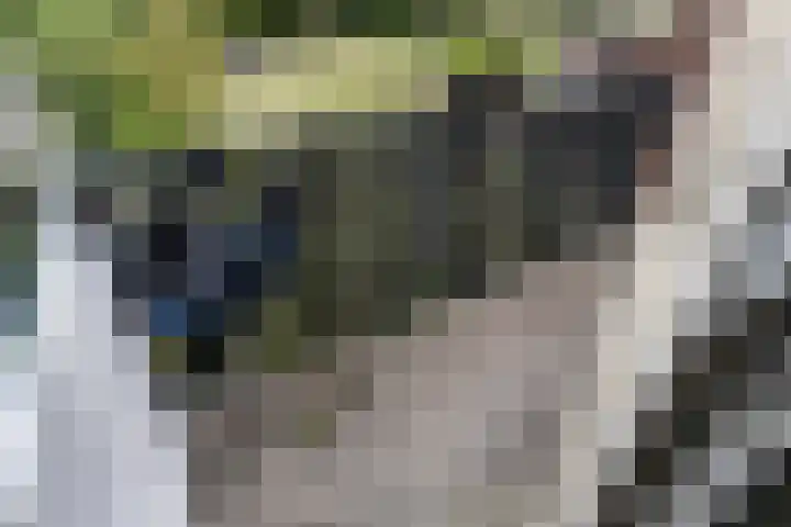 Orion 7 Ulft thumbnail 29