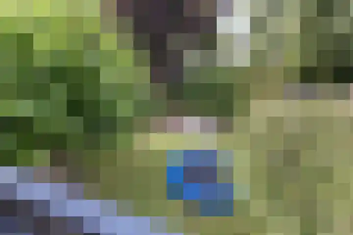 Orion 7 Ulft thumbnail 30