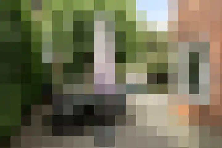 Orion 7 Ulft thumbnail 36