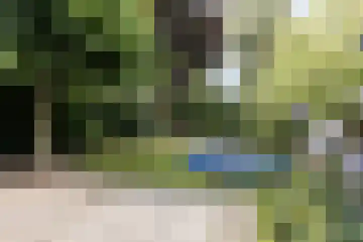 Orion 7 Ulft thumbnail 37