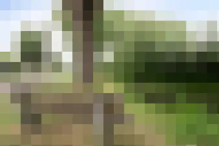 Orion 7 Ulft thumbnail 39