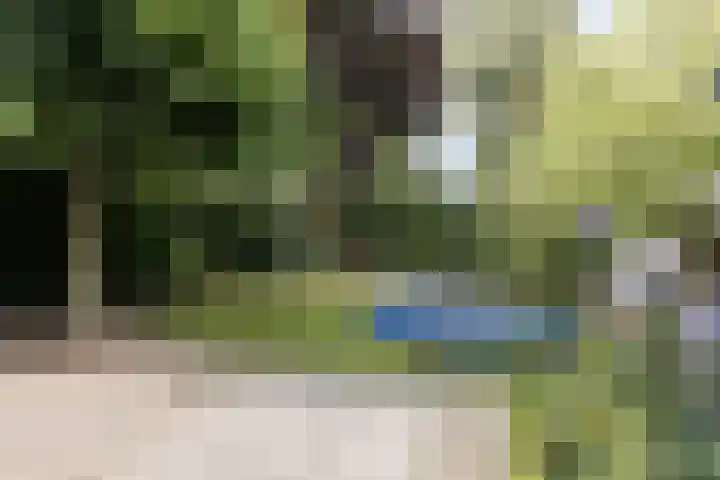 Orion 7 Ulft thumbnail 4