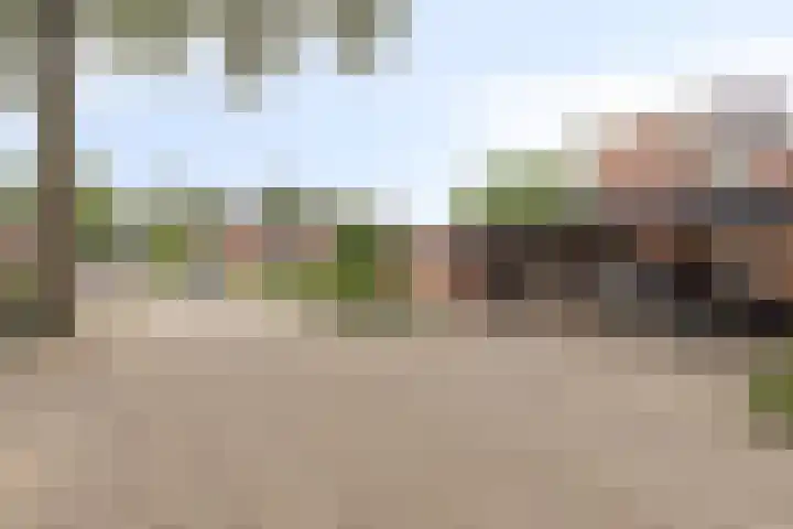 Orion 7 Ulft thumbnail 7