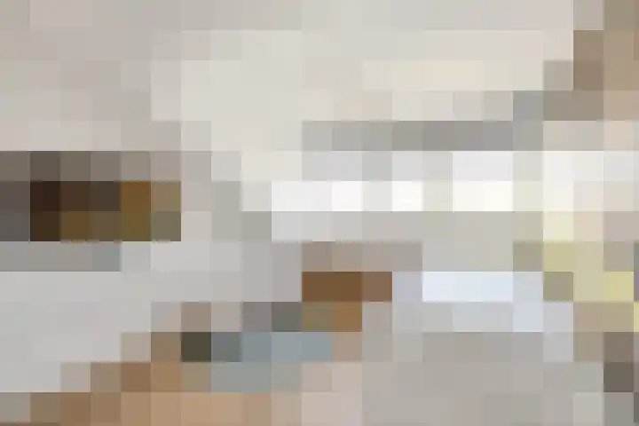 Orion 76 Hellevoetsluis thumbnail 5