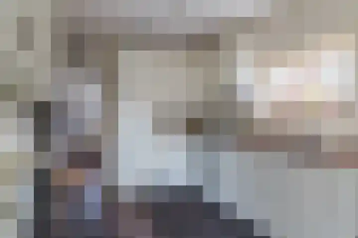 Orion 8 Hapert thumbnail 16