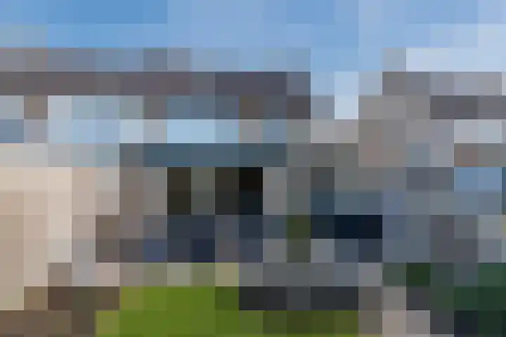 Orion 8 Hapert foto 2