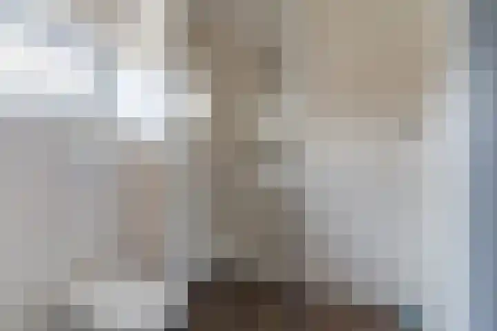 Orion 8 Hapert thumbnail 29