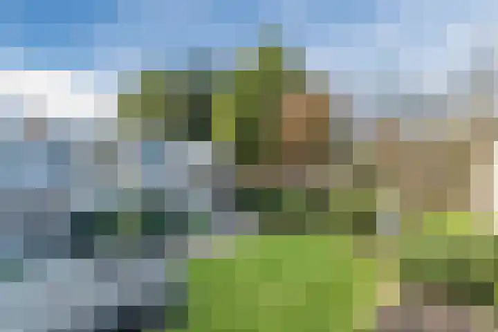 Orion 8 Hapert thumbnail 39