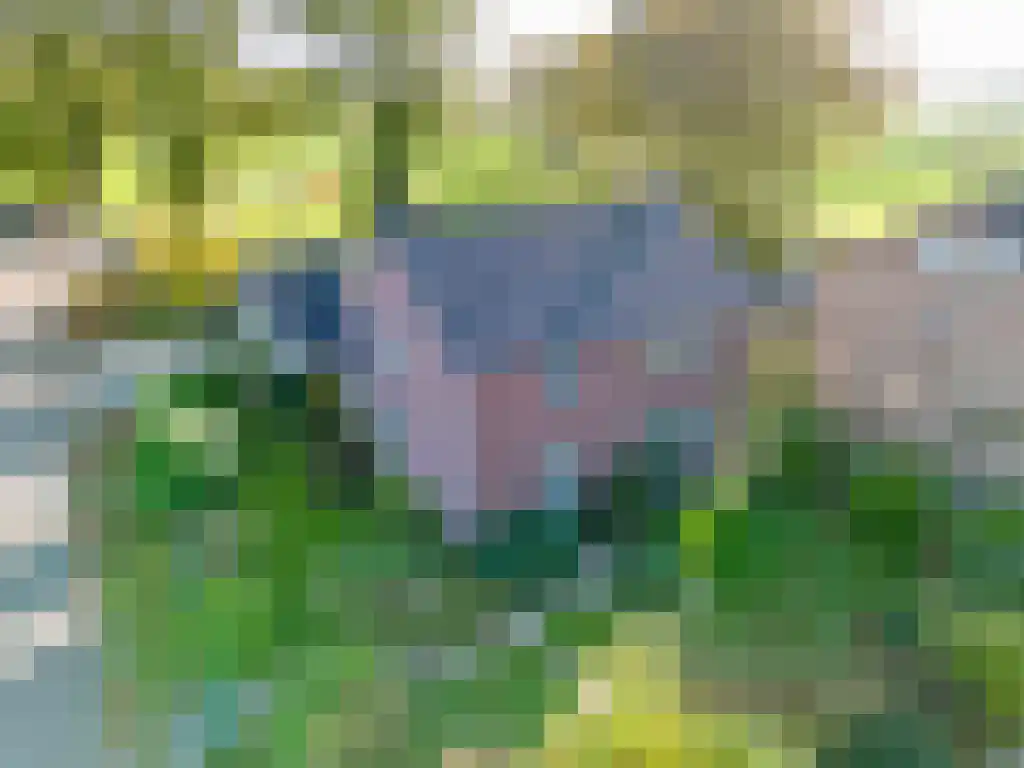 Orion 8 Hapert thumbnail 49