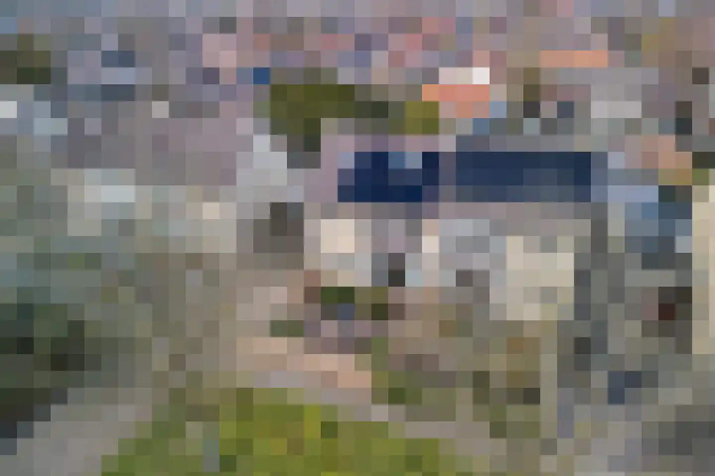 Orion 8 Hapert thumbnail 50