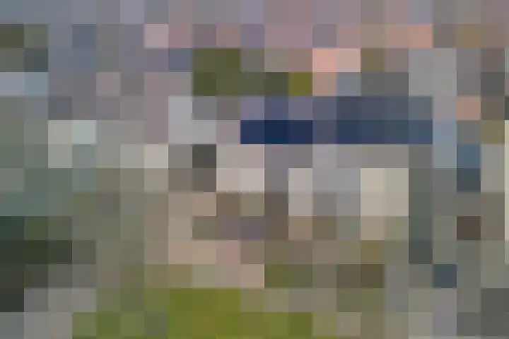 Orion 8 Hapert thumbnail 50