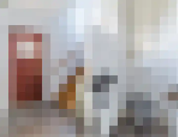 Orion 8 Hapert thumbnail 6