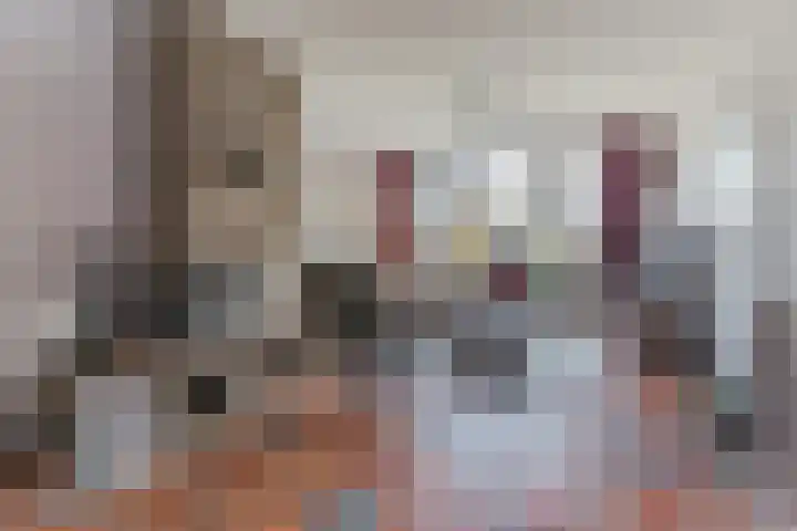 Orion 8 Hapert thumbnail 9