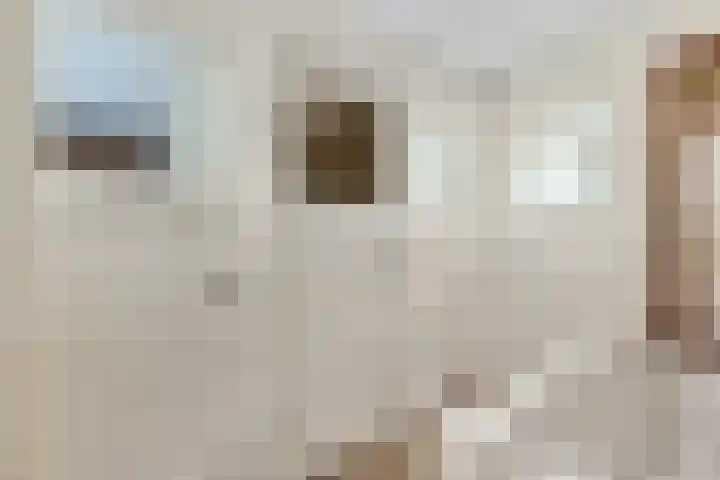 Orionlaan 109 Hilversum thumbnail 11