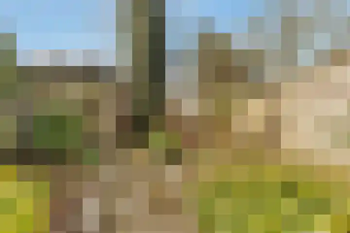 Orionlaan 109 Hilversum thumbnail 24