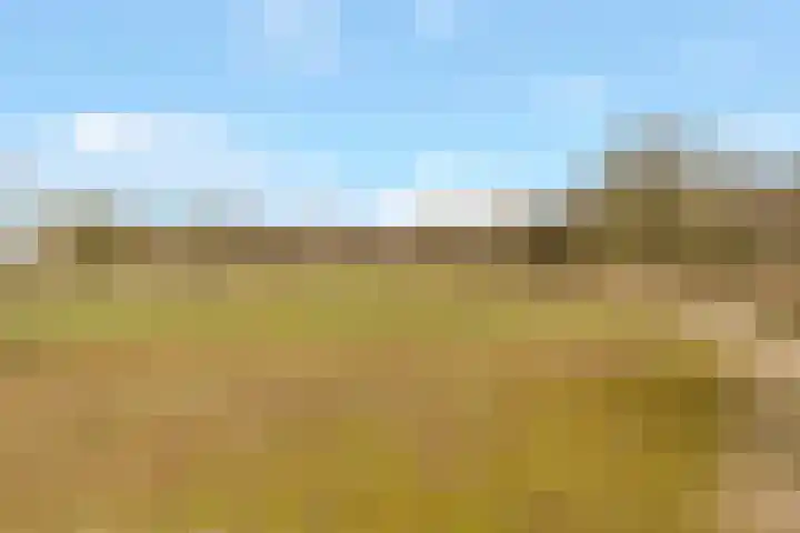 Orionlaan 109 Hilversum thumbnail 28