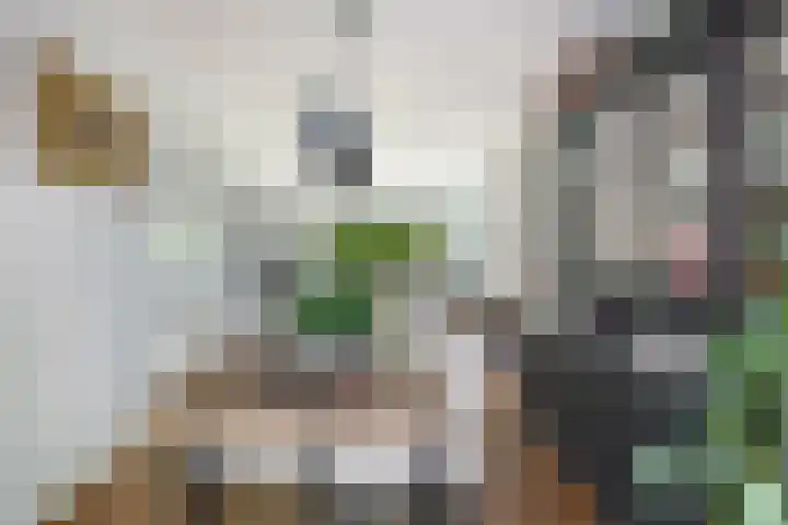 Orionlaan 21 Hilversum thumbnail 10