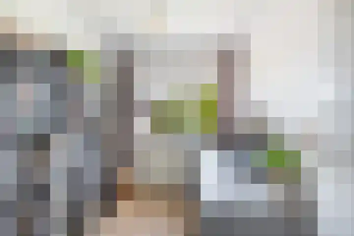 Orionlaan 21 Hilversum thumbnail 18