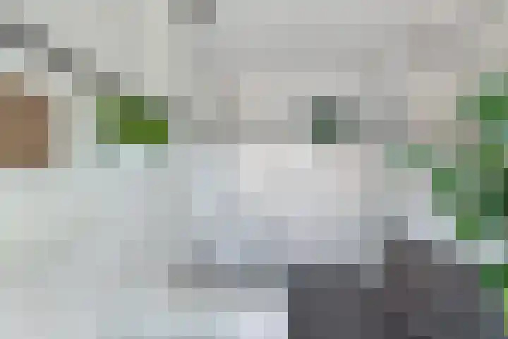 Orionlaan 21 Hilversum thumbnail 20