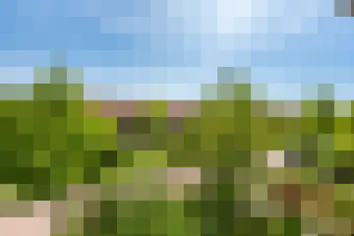 Orionlaan 21 Hilversum thumbnail 26