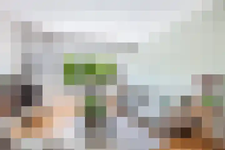 Orionlaan 21 Hilversum thumbnail 4