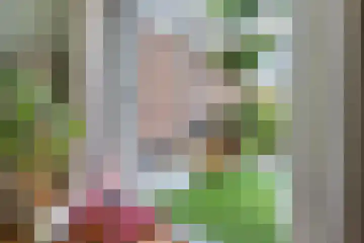 Orionlaan 21 Hilversum thumbnail 7