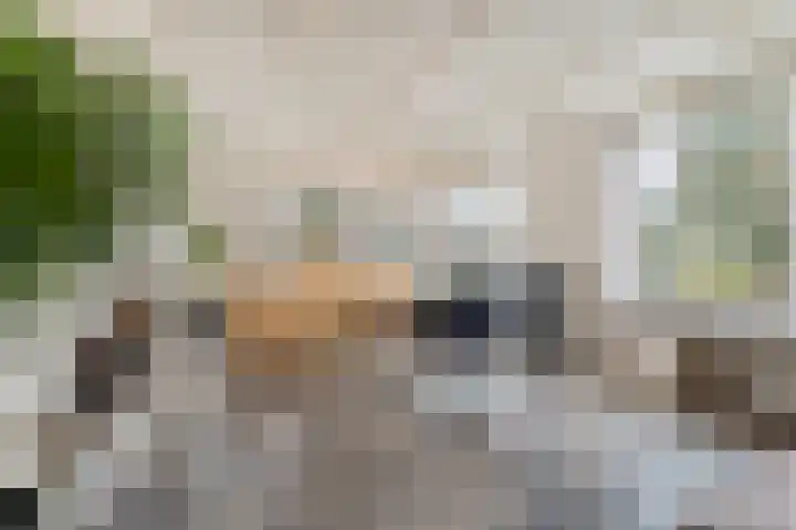 Orionlaan 23 Hardenberg thumbnail 19