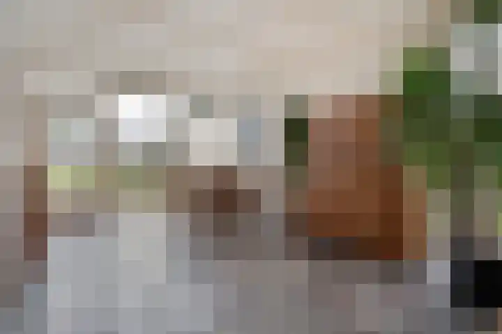 Orionlaan 23 Hardenberg thumbnail 20