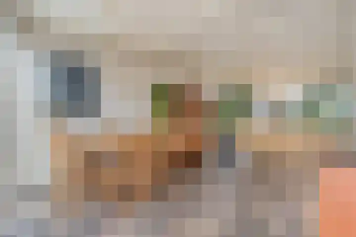 Orionlaan 23 Hardenberg thumbnail 22
