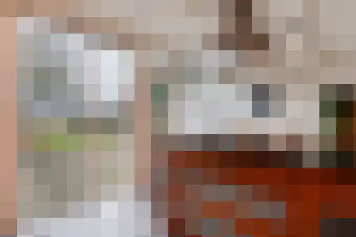 Orionlaan 23 Hardenberg thumbnail 27